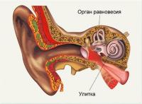 Неврит слухового нерва симптомы и лечение