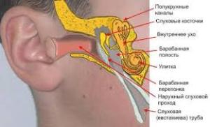 Воспаление уха лечение в домашних условиях