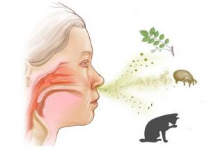 лечение аллергии народными средствами